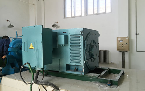 Y5001-2某水电站工程主水泵使用我公司高压电机