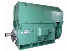Y5001-2Y系列6KV高压电机