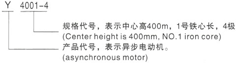 西安泰富西玛Y系列(H355-1000)高压Y5001-2三相异步电机型号说明