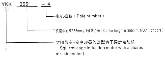 YKK系列(H355-1000)高压Y5001-2三相异步电机西安泰富西玛电机型号说明